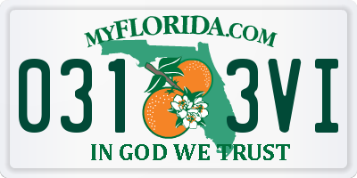 FL license plate 0313VI