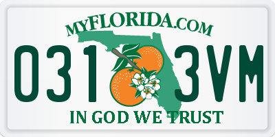 FL license plate 0313VM
