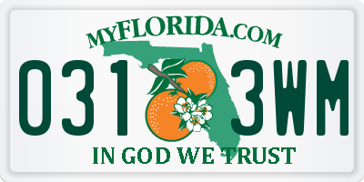 FL license plate 0313WM