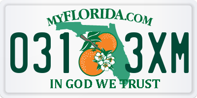 FL license plate 0313XM