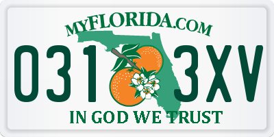 FL license plate 0313XV