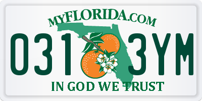 FL license plate 0313YM