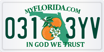 FL license plate 0313YV