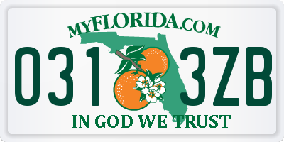 FL license plate 0313ZB