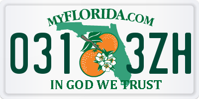 FL license plate 0313ZH