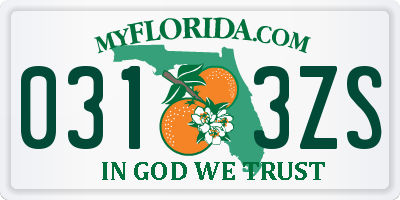 FL license plate 0313ZS