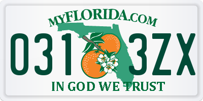 FL license plate 0313ZX