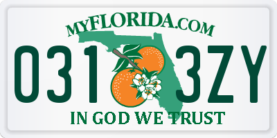 FL license plate 0313ZY