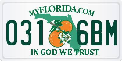 FL license plate 0316BM
