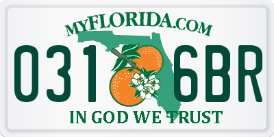 FL license plate 0316BR