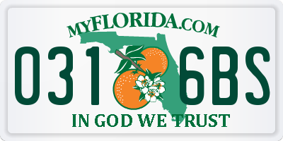 FL license plate 0316BS
