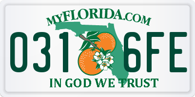 FL license plate 0316FE