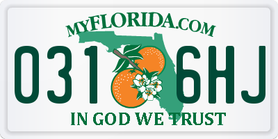 FL license plate 0316HJ