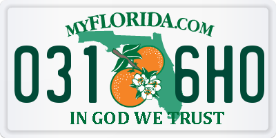 FL license plate 0316HO