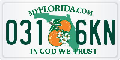 FL license plate 0316KN