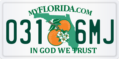 FL license plate 0316MJ