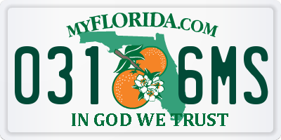 FL license plate 0316MS
