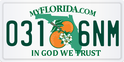 FL license plate 0316NM