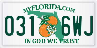 FL license plate 0316WJ
