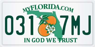 FL license plate 0317MJ