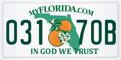 FL license plate 0317OB