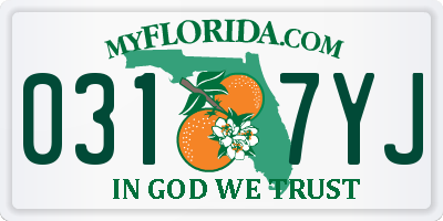 FL license plate 0317YJ