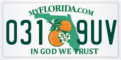 FL license plate 0319UV