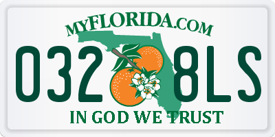 FL license plate 0328LS