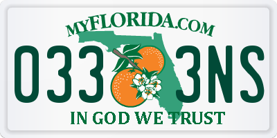FL license plate 0333NS