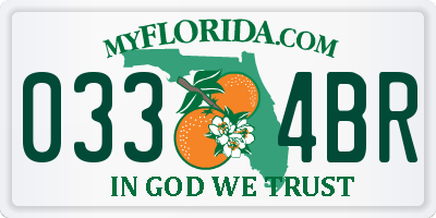 FL license plate 0334BR