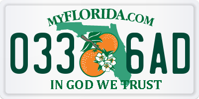 FL license plate 0336AD