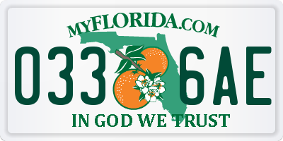 FL license plate 0336AE