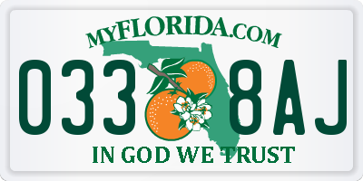 FL license plate 0338AJ