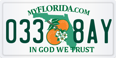 FL license plate 0338AY
