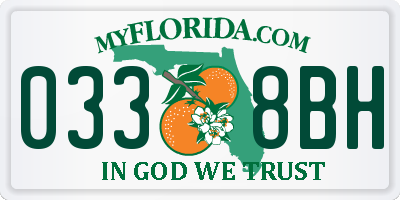 FL license plate 0338BH