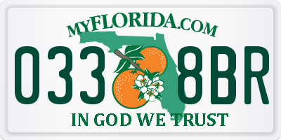 FL license plate 0338BR