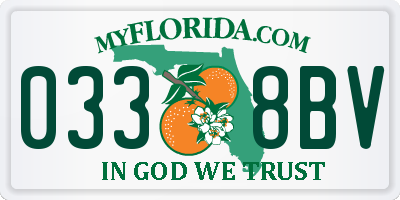 FL license plate 0338BV