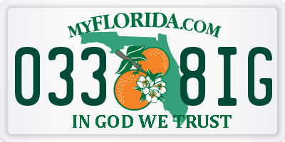 FL license plate 0338IG