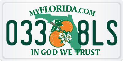 FL license plate 0338LS