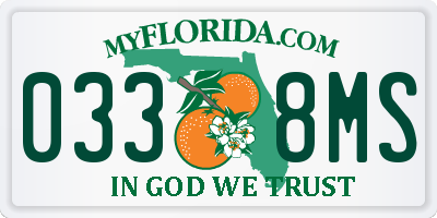 FL license plate 0338MS