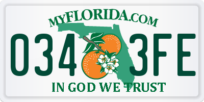 FL license plate 0343FE