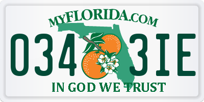FL license plate 0343IE
