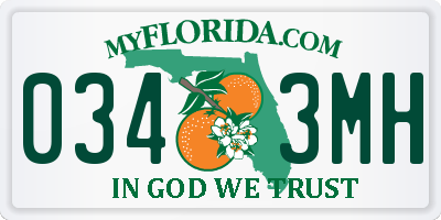 FL license plate 0343MH