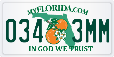 FL license plate 0343MM