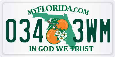 FL license plate 0343WM