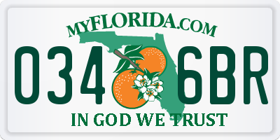 FL license plate 0346BR