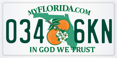 FL license plate 0346KN
