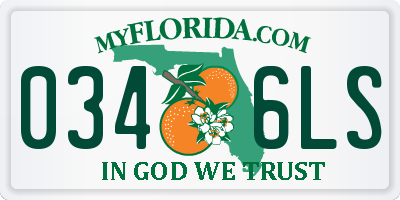 FL license plate 0346LS