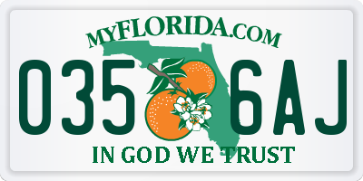 FL license plate 0356AJ