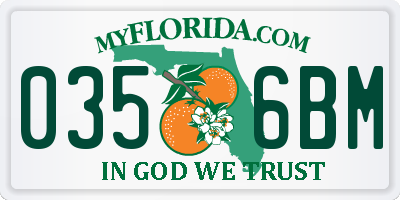 FL license plate 0356BM